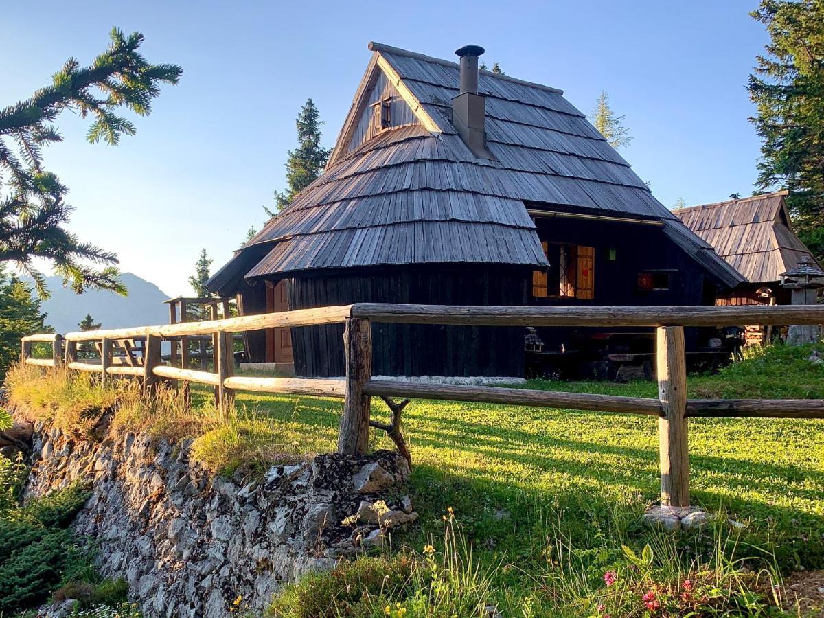 Velika Planina - Chalet Stane - Alps Stahovica Ngoại thất bức ảnh