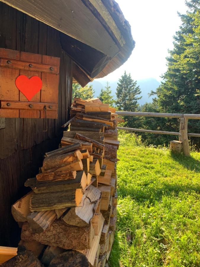 Velika Planina - Chalet Stane - Alps Stahovica Ngoại thất bức ảnh
